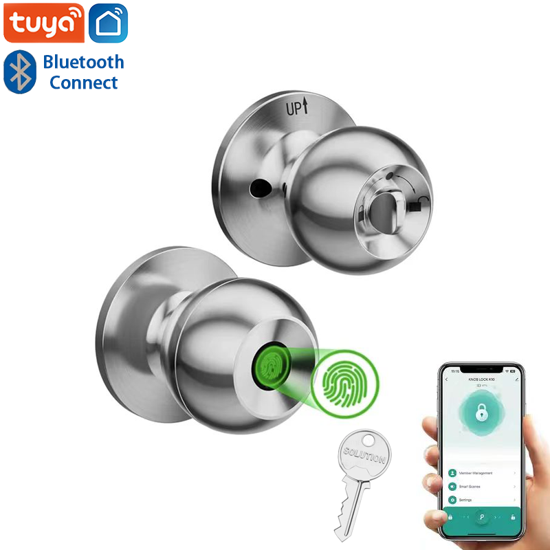 Letter Opener Brass - Bluetooth Tuya APP Control Smart Door
