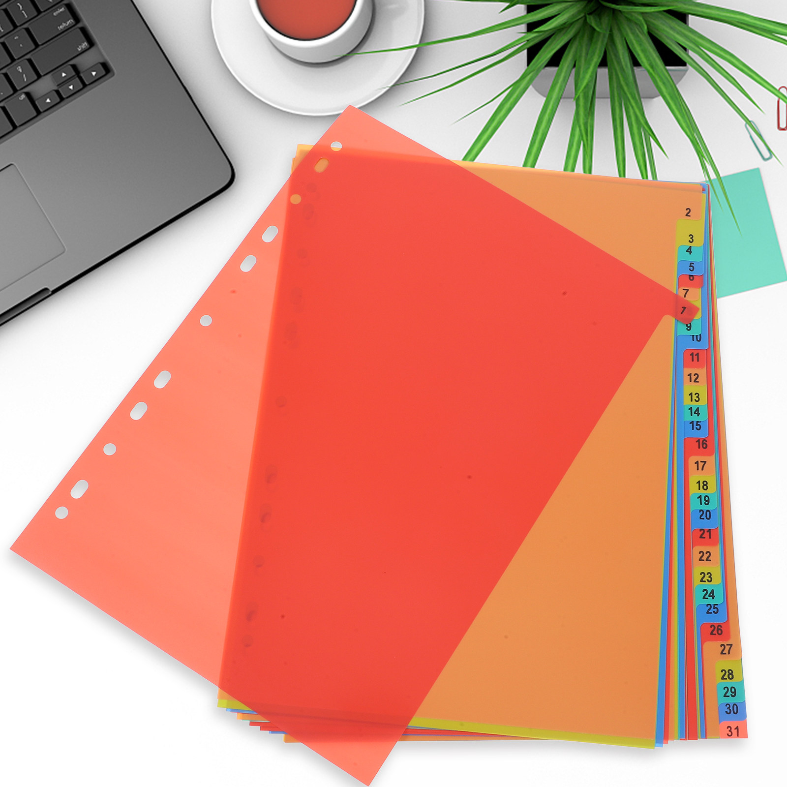 1Set Loose-Leaf Index Dividers - đánh giá và giá Tab Divider A4