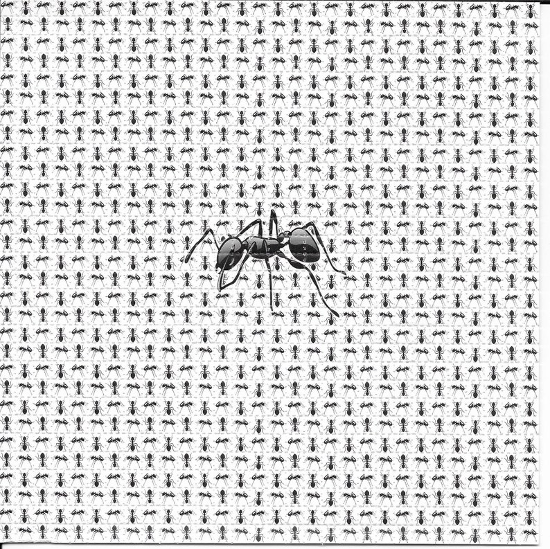 Ants Animal Psychedelic LSD Ac - đánh giá và giá Ink Blotter Paper