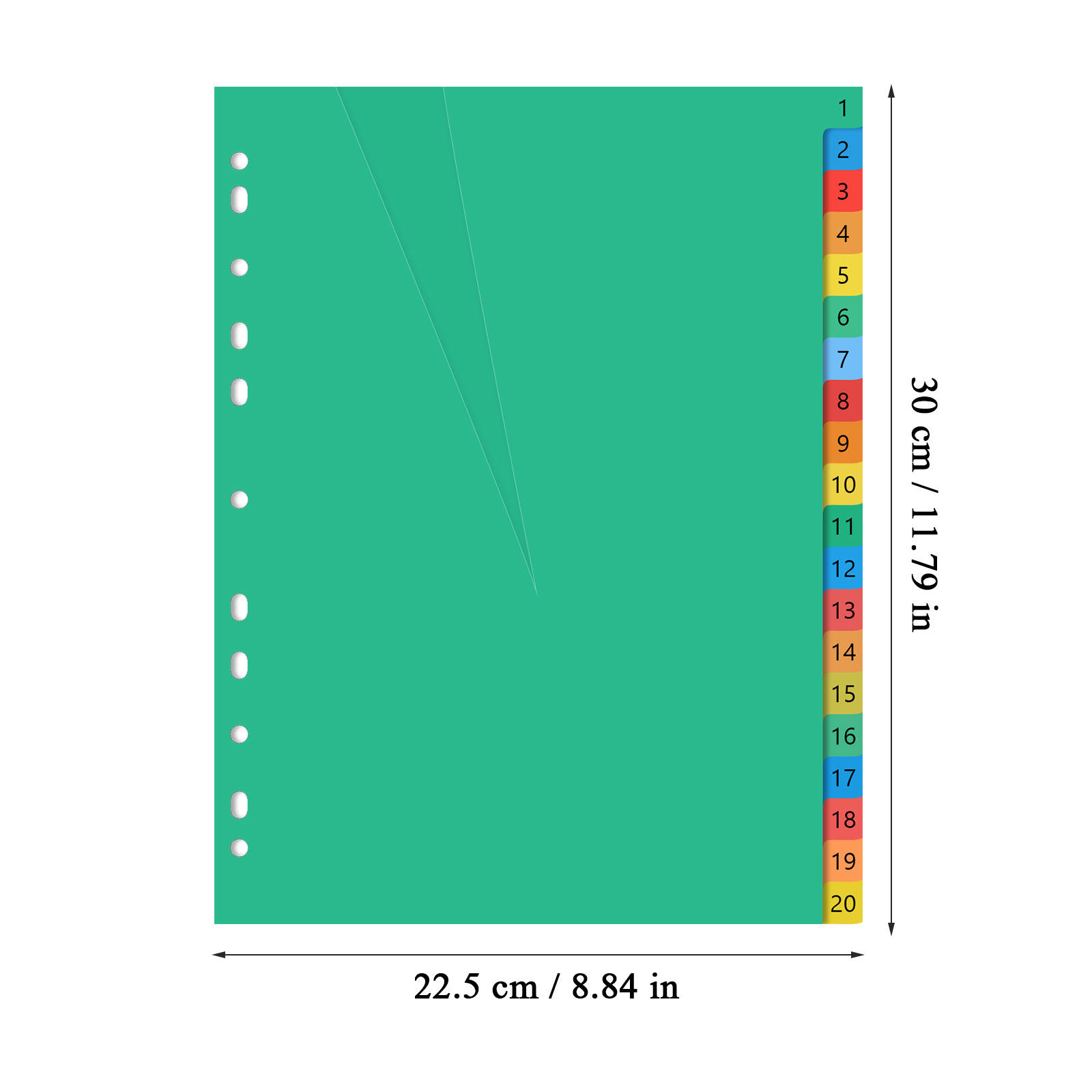 A4 Colorful Plastic Tab Divide - đánh giá và giá Tab Divider A4