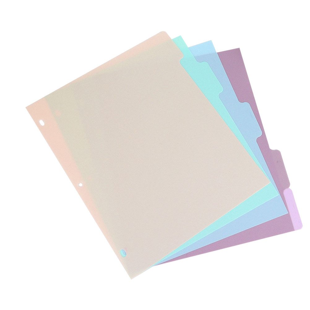 1Set Binder Dividers A4 Froste - đánh giá và giá Tab Divider A4