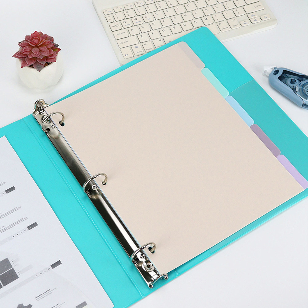 1Set Binder Dividers A4 Froste - đánh giá và giá Tab Divider A4