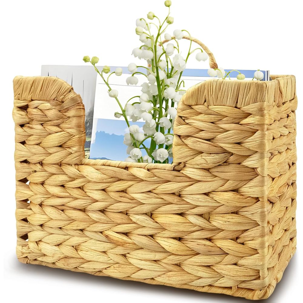 Hanging Magazine Holder, Water - đánh giá và giá Magazine Holder Rack
