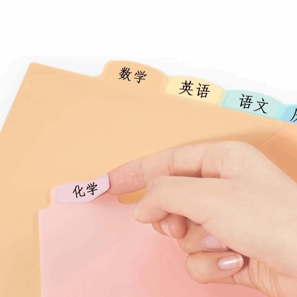 8 pcs Durable A4 Pastel Binder - đánh giá và giá Tab Divider A4