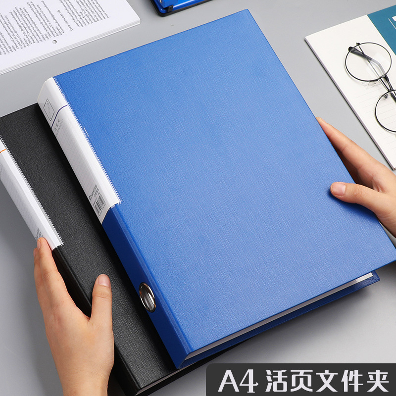 2/3 Hole A4 Ring Binder File F - đánh giá và giá Binder A4 Lever